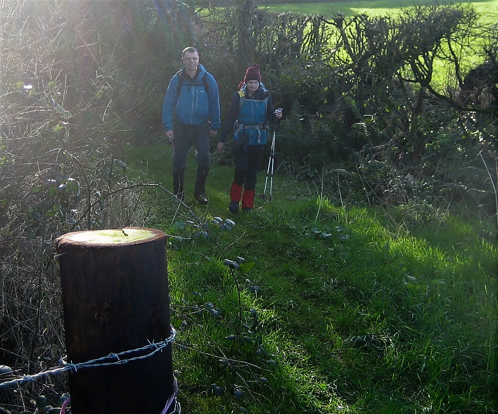 1 Track to Westhill Farm IMG 3119