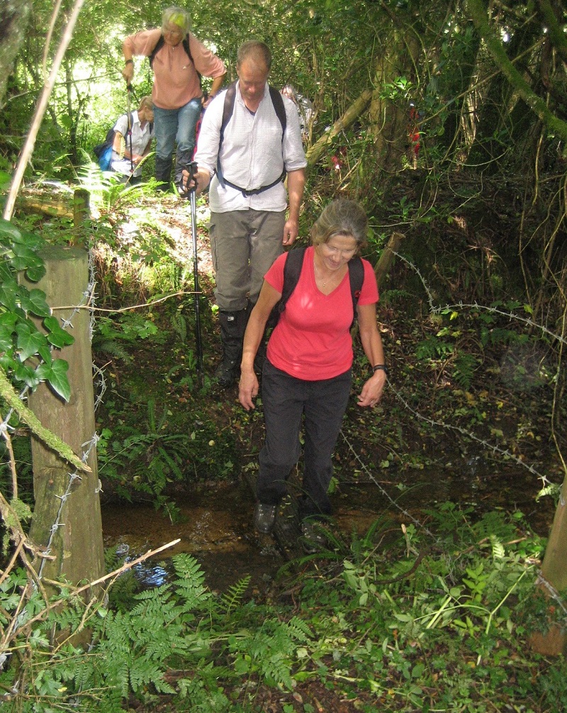 2 stream crossing
