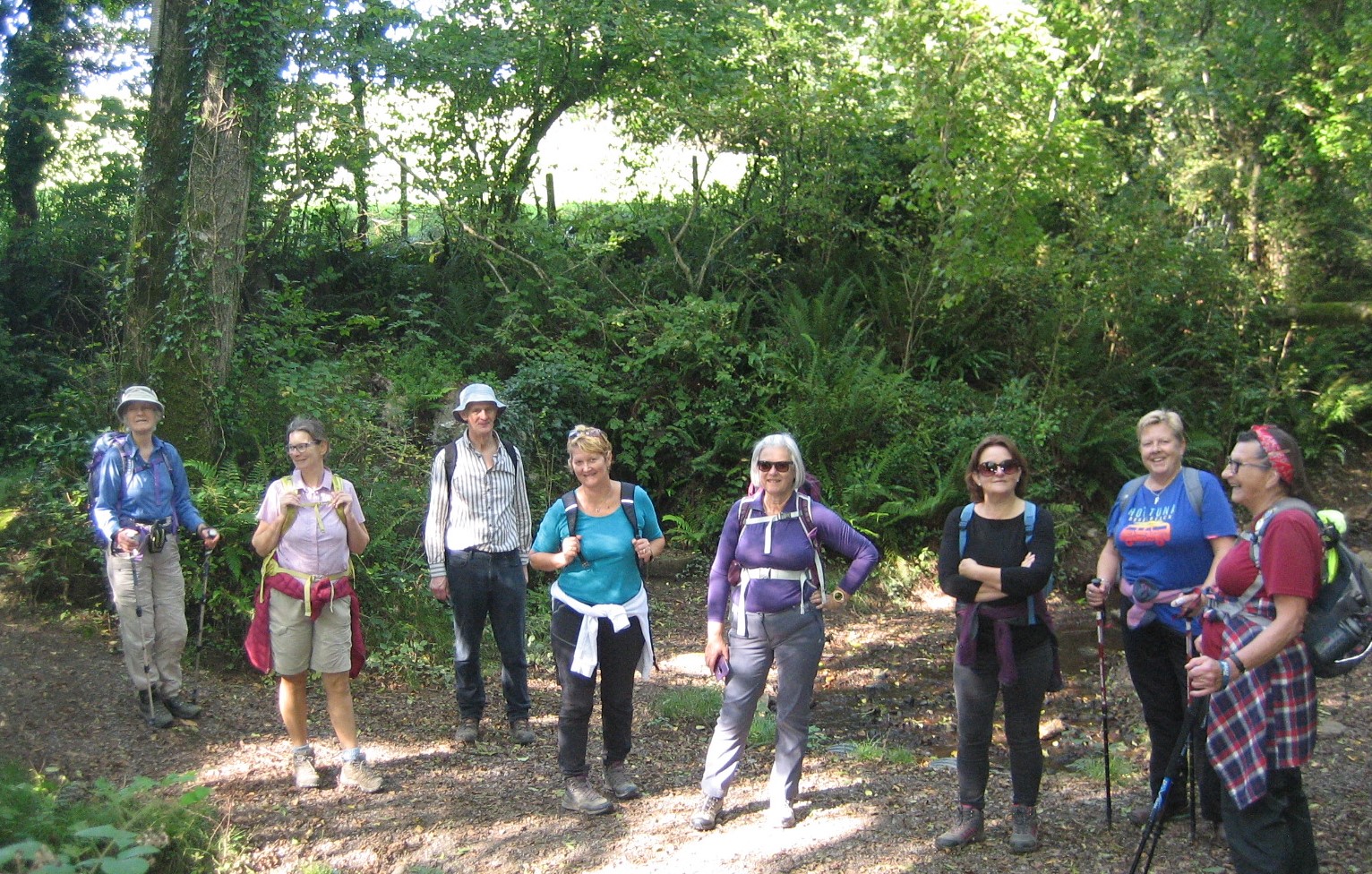 6a Bush woods