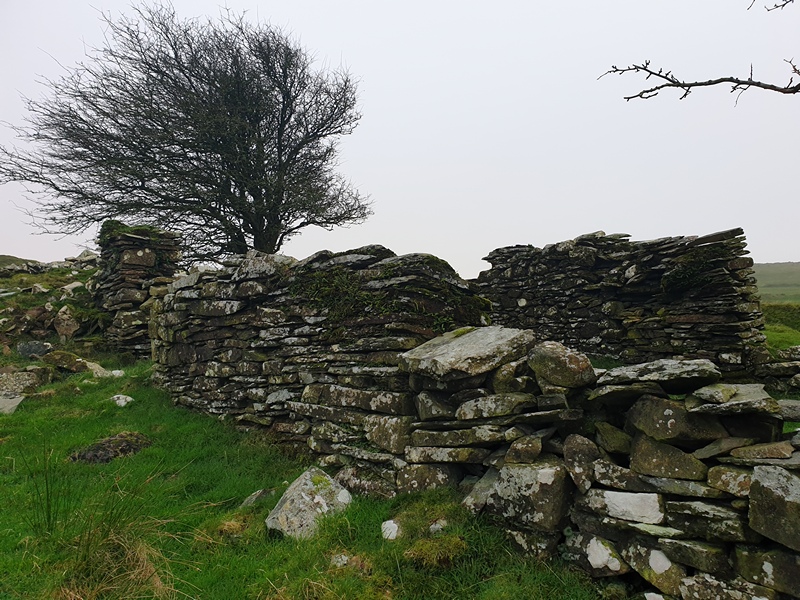 20201128 140355