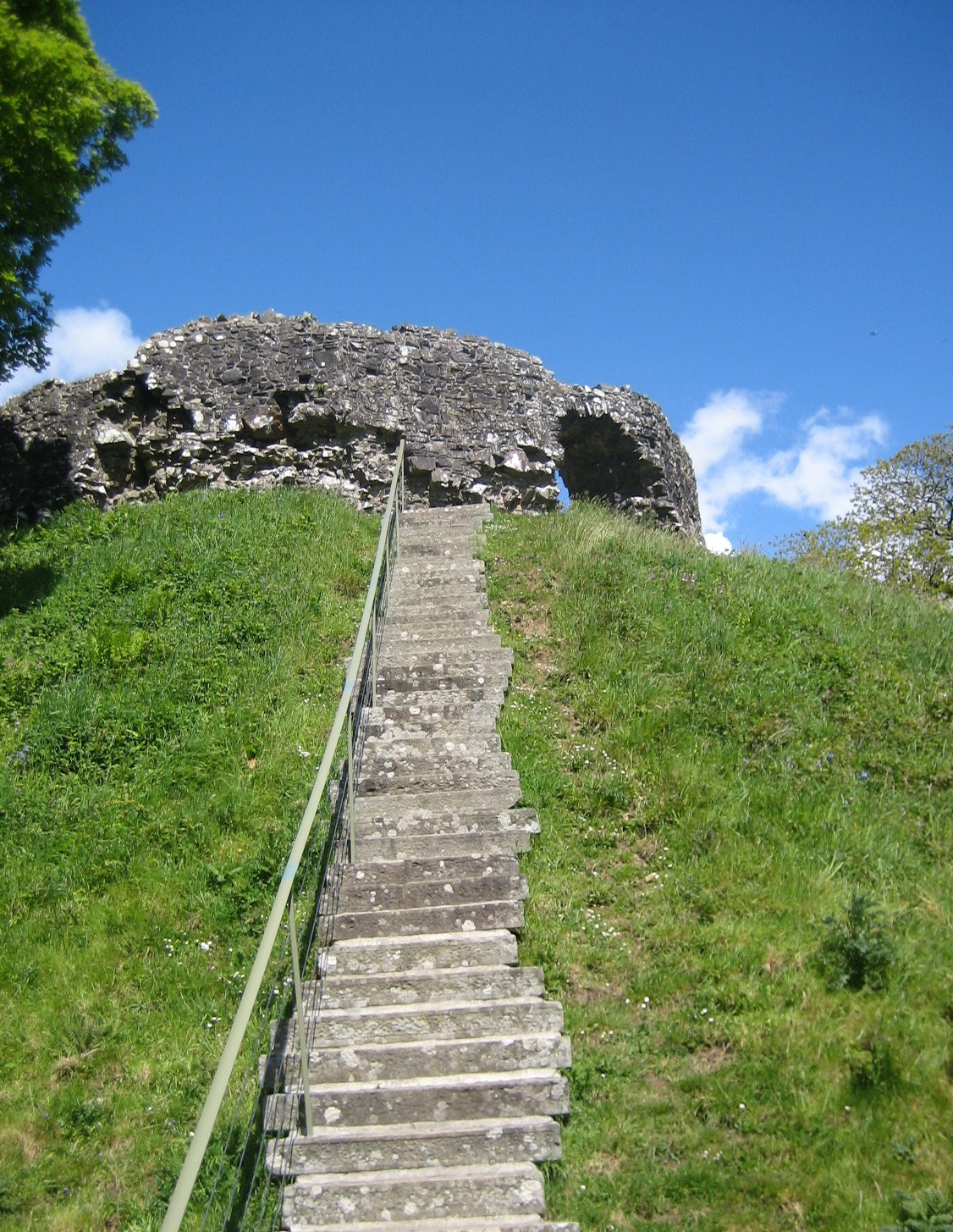 IMG 3731 Copy