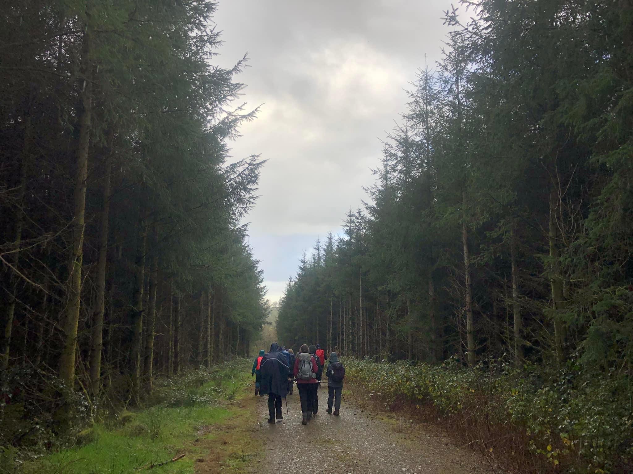 IMG 0181