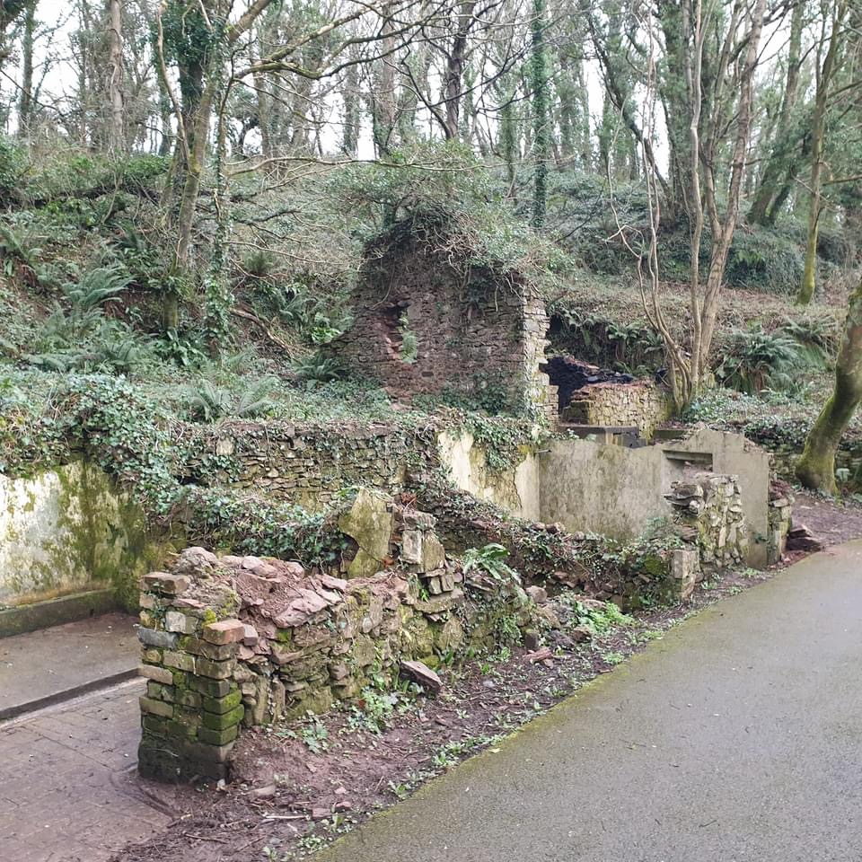 IMG 0010