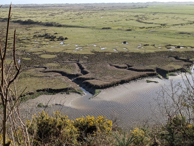 Laugharne 5