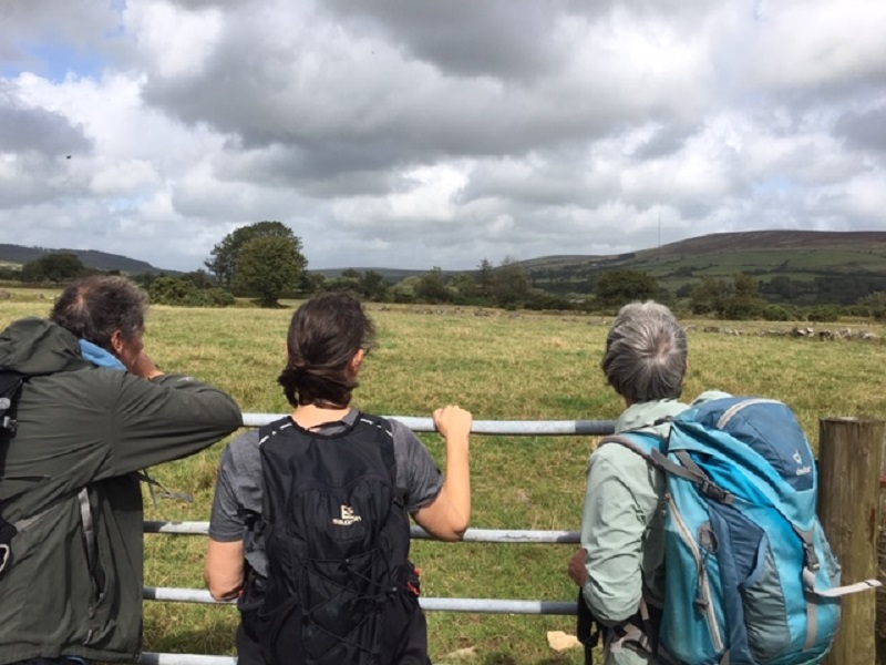 IMG 3580