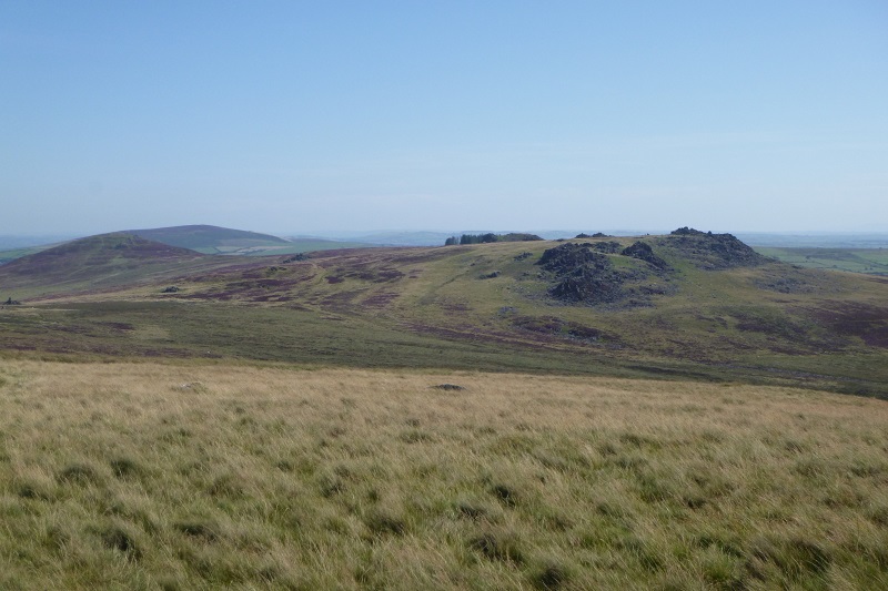 P1000751