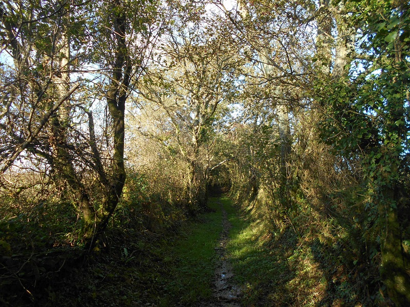 cresswell quay 35