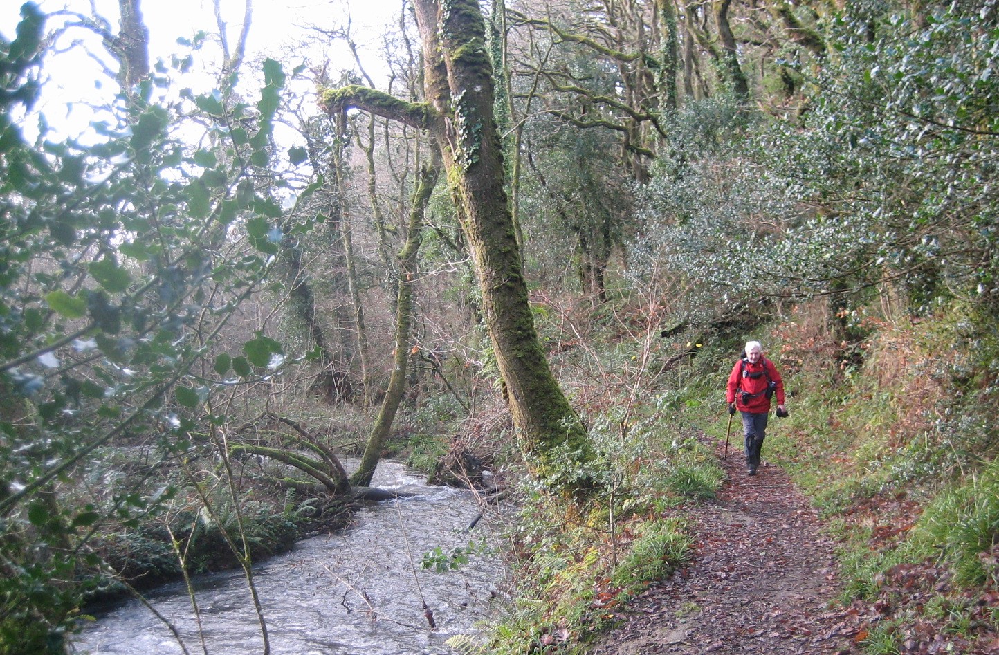 1 Riverside path 